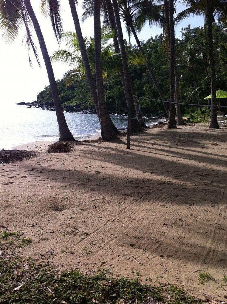 Turtle Cove Beach Resort - Adults Only Lgbtqia & Allies Wangetti エクステリア 写真