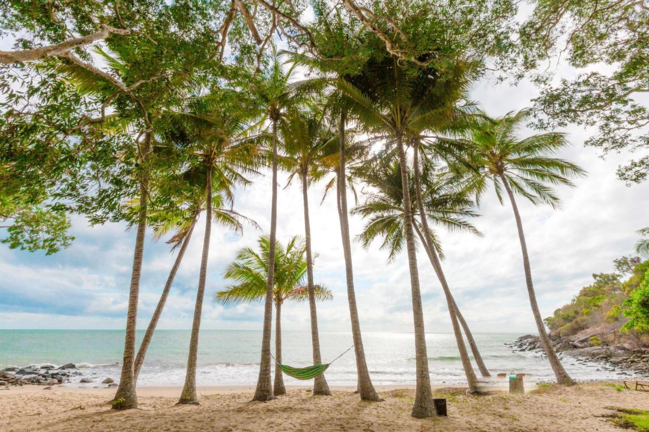Turtle Cove Beach Resort - Adults Only Lgbtqia & Allies Wangetti エクステリア 写真